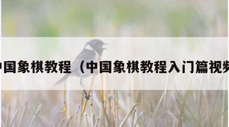 中国象棋教程（中国象棋教程入门篇视频）