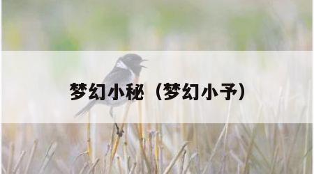 梦幻小秘（梦幻小予）