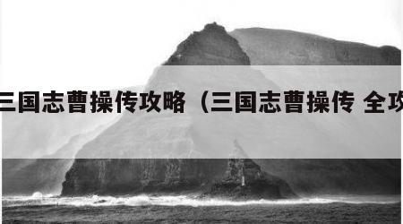 新三国志曹操传攻略（三国志曹操传 全攻略）