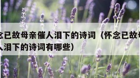 怀念已故母亲催人泪下的诗词（怀念已故母亲催人泪下的诗词有哪些）