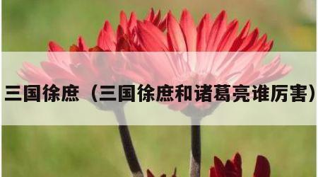 三国徐庶（三国徐庶和诸葛亮谁厉害）