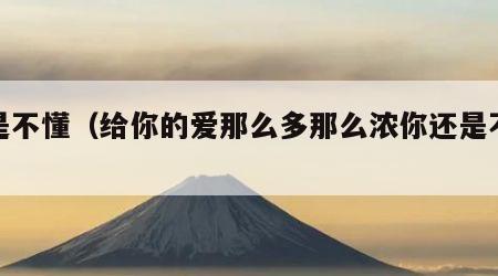 还是不懂（给你的爱那么多那么浓你还是不懂）