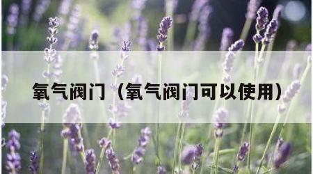 氧气阀门（氧气阀门可以使用）