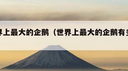 世界上最大的企鹅（世界上最大的企鹅有多大）