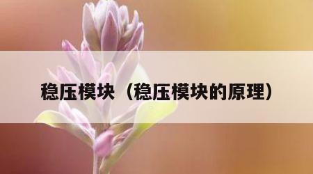 稳压模块（稳压模块的原理）