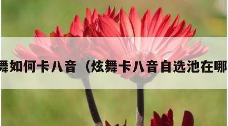 炫舞如何卡八音（炫舞卡八音自选池在哪里）