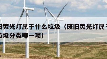 废旧荧光灯属于什么垃圾（废旧荧光灯属于什么垃圾分类哪一项）