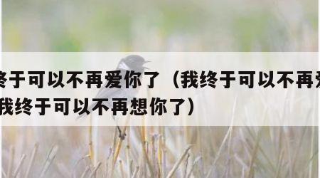 我终于可以不再爱你了（我终于可以不再爱你了,我终于可以不再想你了）