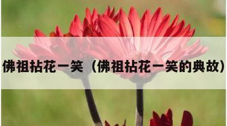 佛祖拈花一笑（佛祖拈花一笑的典故）
