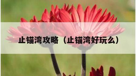 止锚湾攻略（止锚湾好玩么）
