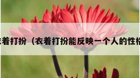 衣着打扮（衣着打扮能反映一个人的性格）