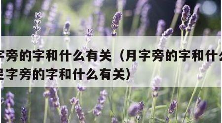 月字旁的字和什么有关（月字旁的字和什么有关足字旁的字和什么有关）