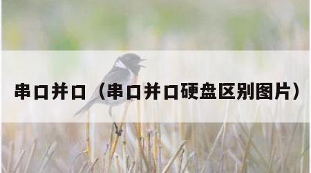 串口并口（串口并口硬盘区别图片）