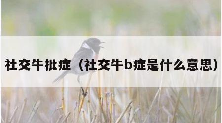 社交牛批症（社交牛b症是什么意思）