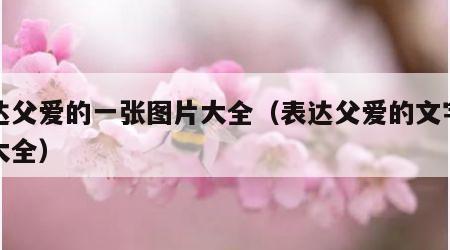 表达父爱的一张图片大全（表达父爱的文字图片大全）