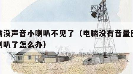 电脑没声音小喇叭不见了（电脑没有音量图标小喇叭了怎么办）