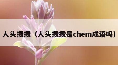 人头攒攒（人头攒攒是chem成语吗）