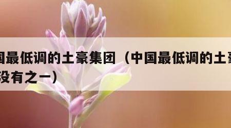 中国最低调的土豪集团（中国最低调的土豪集团 没有之一）