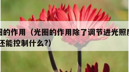 光圈的作用（光圈的作用除了调节进光照度之外,还能控制什么?）
