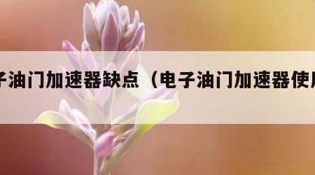 电子油门加速器缺点（电子油门加速器使用感受）
