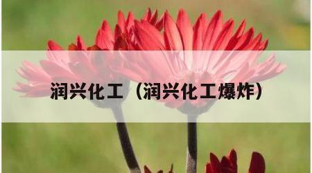 润兴化工（润兴化工爆炸）