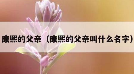 康熙的父亲（康熙的父亲叫什么名字）