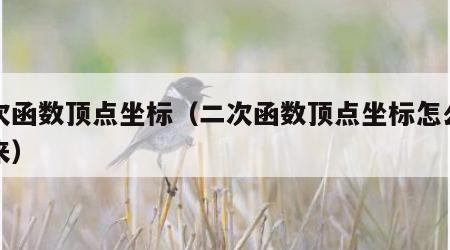 二次函数顶点坐标（二次函数顶点坐标怎么算出来）