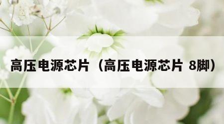 高压电源芯片（高压电源芯片 8脚）