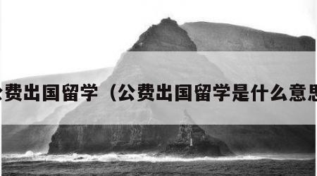公费出国留学（公费出国留学是什么意思）