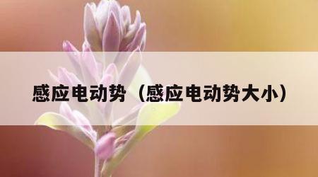 感应电动势（感应电动势大小）