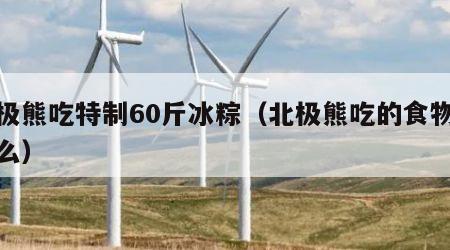 北极熊吃特制60斤冰粽（北极熊吃的食物是什么）