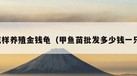 怎样养殖金钱龟（甲鱼苗批发多少钱一只）