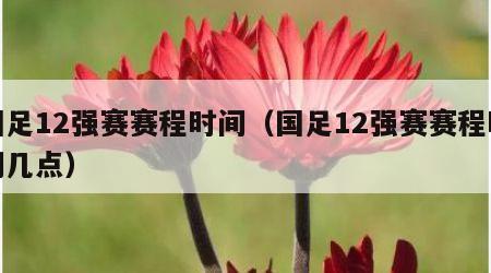 国足12强赛赛程时间（国足12强赛赛程时间几点）