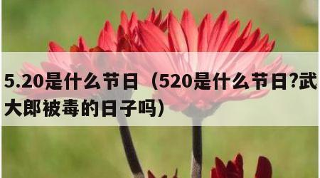 5.20是什么节日（520是什么节日?武大郎被毒的日子吗）