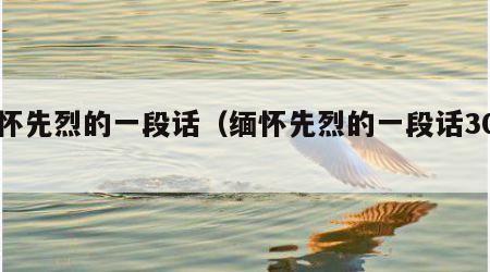 缅怀先烈的一段话（缅怀先烈的一段话30字）