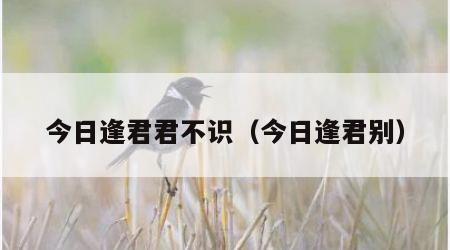 今日逢君君不识（今日逢君别）