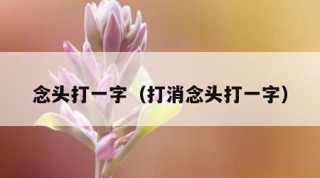 念头打一字（打消念头打一字）
