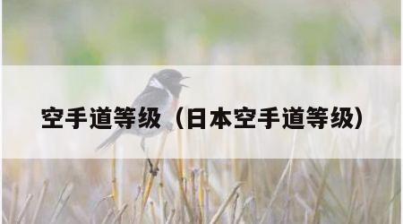空手道等级（日本空手道等级）