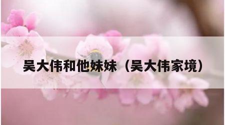 吴大伟和他妹妹（吴大伟家境）
