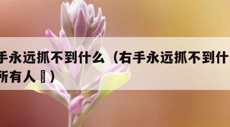 右手永远抓不到什么（右手永远抓不到什么?@所有人 ）