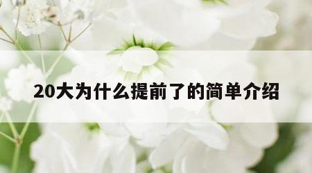 20大为什么提前了的简单介绍
