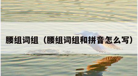 腰组词组（腰组词组和拼音怎么写）