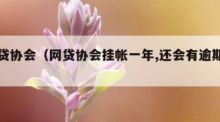 网贷协会（网贷协会挂帐一年,还会有逾期吗）