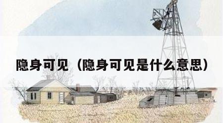 隐身可见（隐身可见是什么意思）