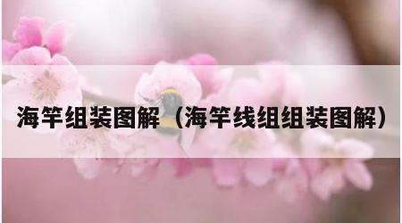 海竿组装图解（海竿线组组装图解）