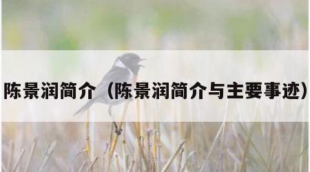 陈景润简介（陈景润简介与主要事迹）