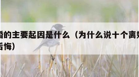 离婚的主要起因是什么（为什么说十个离婚九个后悔）