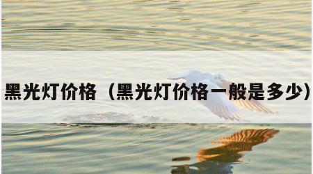 黑光灯价格（黑光灯价格一般是多少）