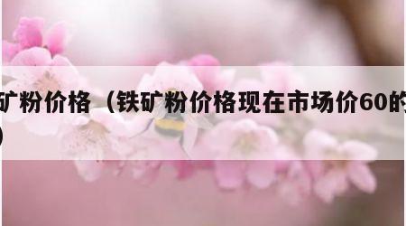 铁矿粉价格（铁矿粉价格现在市场价60的含量）