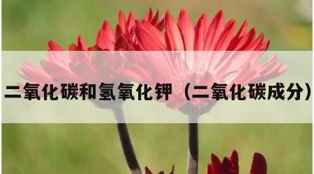 二氧化碳和氢氧化钾（二氧化碳成分）